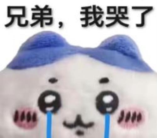 激战三天连,灰熊逆境翻,迎战森林狼,中国鸿发彩票网,足彩竞猜,鸿发彩票网,体彩竞猜